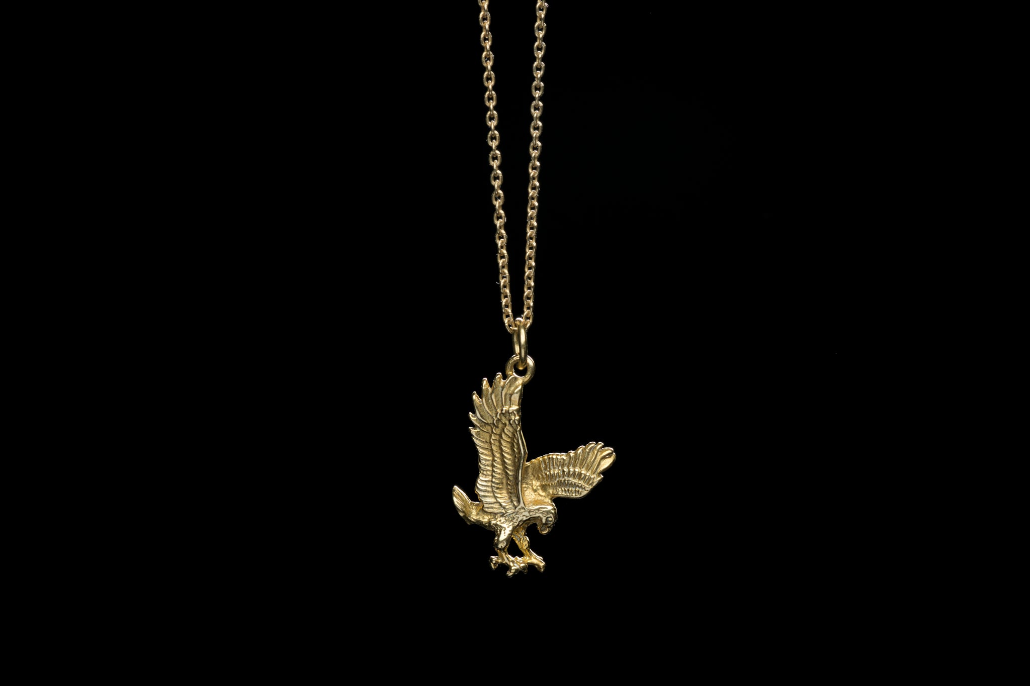 Golden eagle